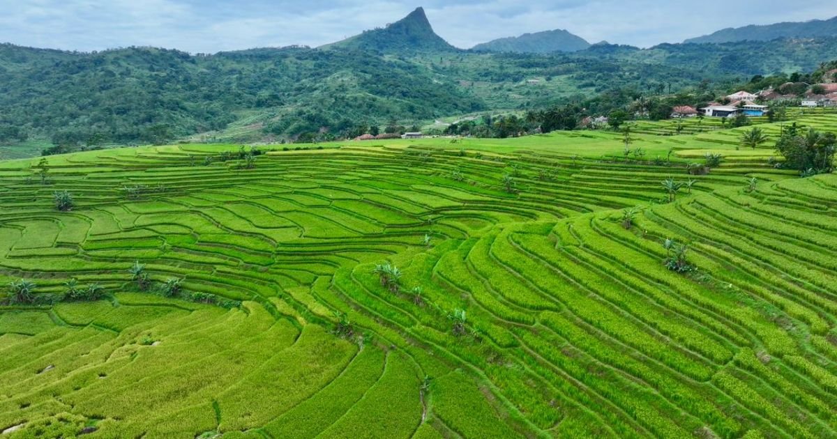 Sekda Ajat Rochmat Jatnika: Strategi Pemkab Bogor Bangun Sukamakmur untuk Tingkatkan IPM dan Ekonomi