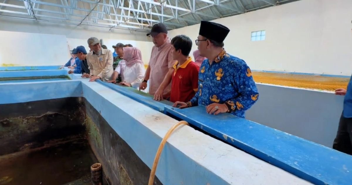 Bupati Bogor Rudy Susmanto Siapkan Kabupaten Bogor Jadi Lumbung Pangan Jawa Barat Melalui Sektor Perikanan dan Peternakan